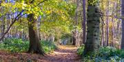 Weald Country Park