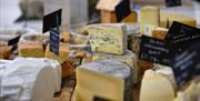 Selection of cheese on display