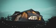 Landycampers