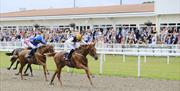 Horse racing at Chelmsford City Racecourse