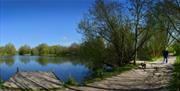 One of the lakes at Belhus Woods Country Park