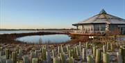 Abberton Reservoir