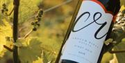 Crouch Ridge Vineyard