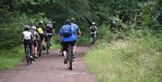 A group of mountain cyclists ride through the Forest near Chingford.