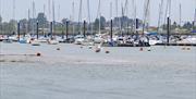 Brightlingsea Harbour Moorings