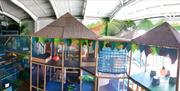 monkey puzzle indoor softplay