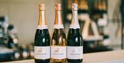 Saffron Grange 2021 wine releases on display - 2018 Classic Cuvée, 2018 Seyval Blanc and 2019 Sparkling Rosé.