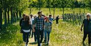 Guests walk through Saffron Grange Vineyard on one of its tours and tasting experiences.