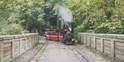 train rides for kids in cambridge