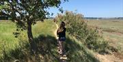 Wrabness Coastal Walk