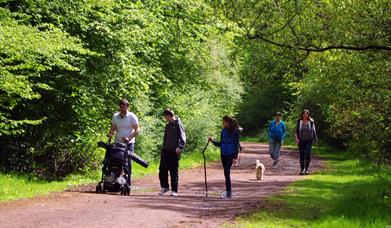 Walking in Essex