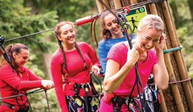 A family group enjoying Go Ape Treetop Challenge