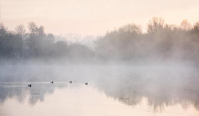 Lee Valley Regional Park - Country / Royal Park in Enfield, Epping Forest -  Visit Epping Forest