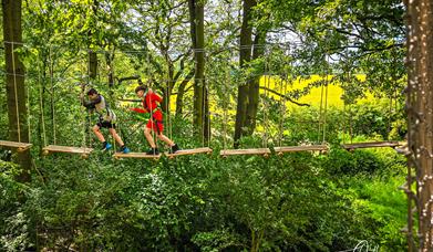 Go Ape Chelmsford Essex