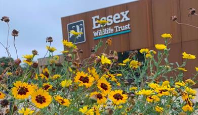 Nature Discovery Centre at Langdon