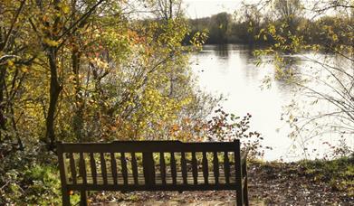 Chigborough Lakes