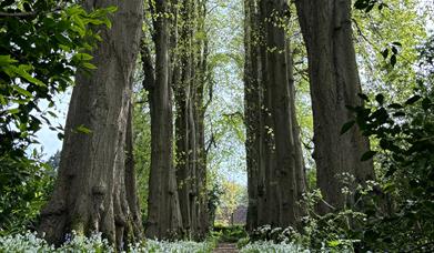 The Gibberd Garden