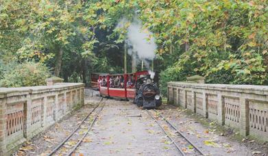 train rides for kids in cambridge