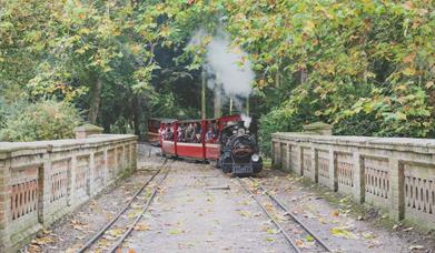 train rides for kids in cambridge