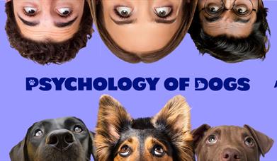 The Psychology Of Dogs