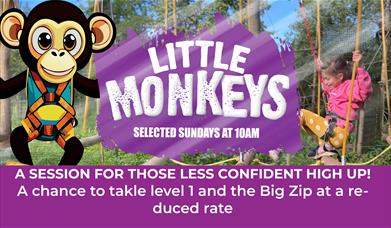 High Ropes - Little Monkeys