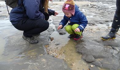 Naze Family Fossil Discovery