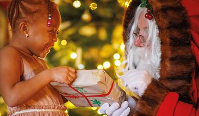 Father Christmas at Audley End