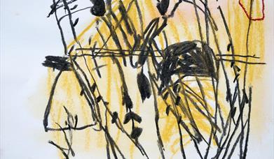 Landscape Drawing – A Discovery Day with Simon Carter