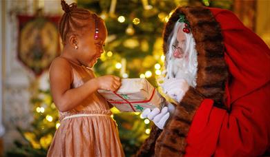 Father Christmas at Audley End House and Gardens