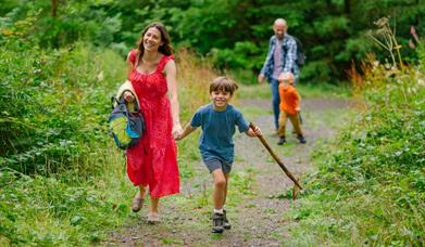 The Great Woodland Adventure