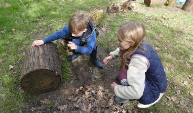 Wilder Holiday Club