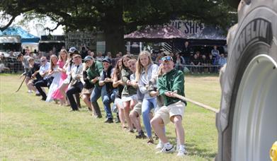 Tendring Show