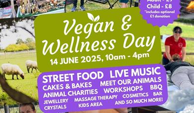 Vegan and Wellness Day