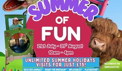 Summer of Fun