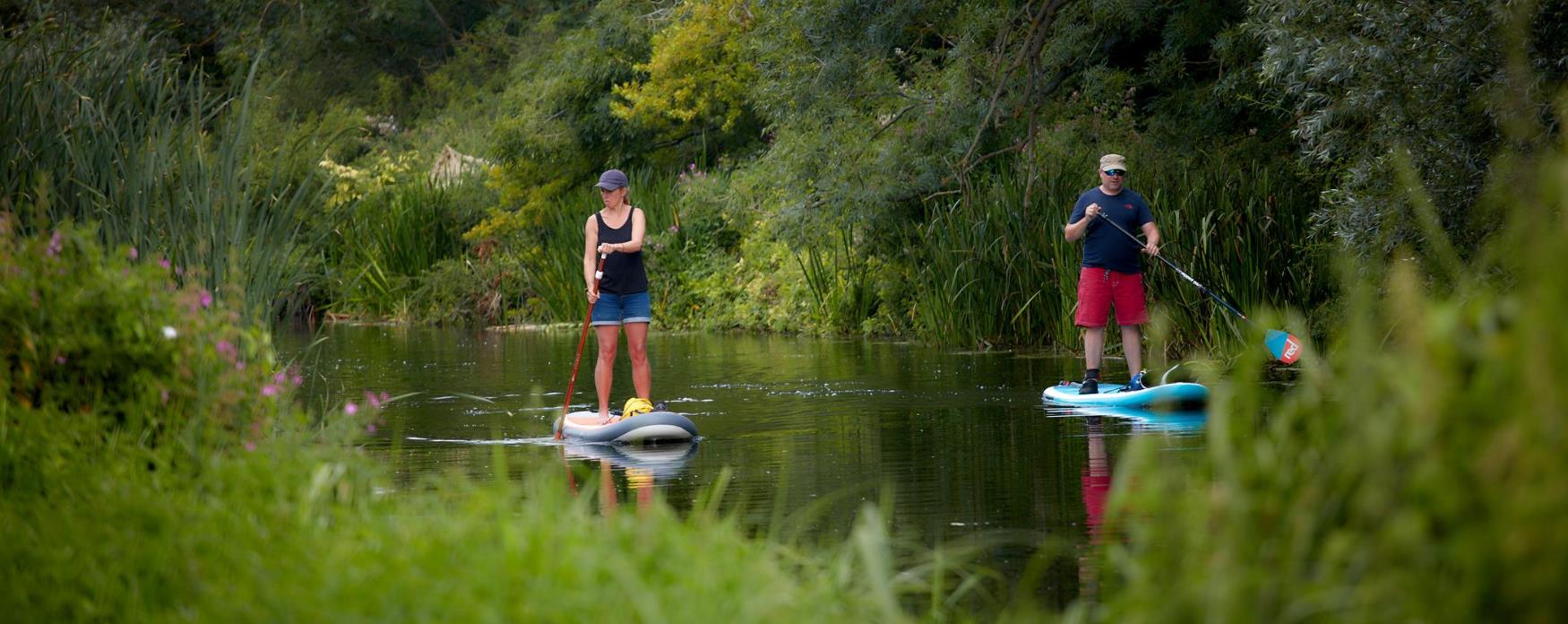 Two people paddleboarding along the Chelmer and Blackwater Navigation