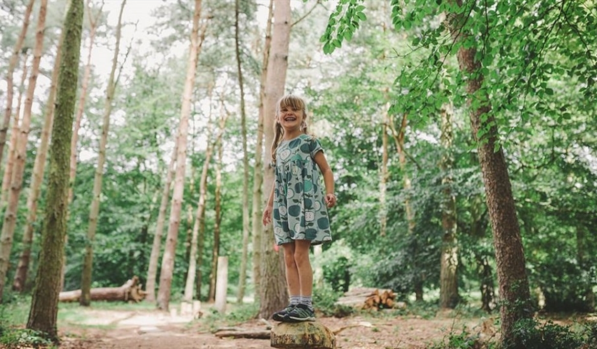 A young girl standing on a tree stump
