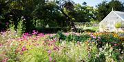 The Kitchen Garden at Myddelton House Gardens The Kitchen Garden at Myddelton House Gardens