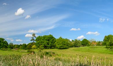 Landscape of green grass, blue skies and a variety of trees. 