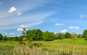 Landscape of green grass, blue skies and a variety of trees.