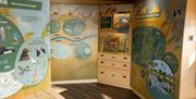 Discovery room at the Wildlife Discovery Centre with pictures of the wildlife that call Lee Valley Regional Park their home.