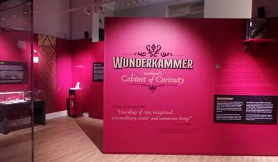 Wunderkammer Exhibition Southend