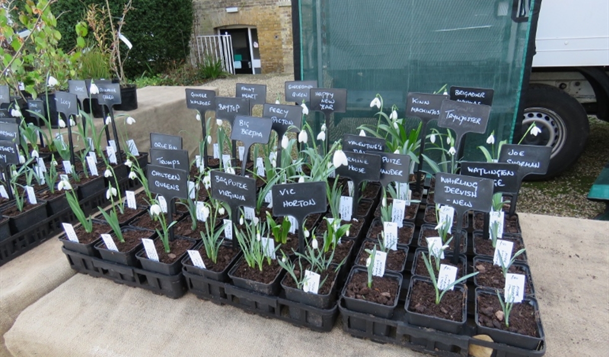 Product Image Product Image