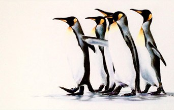 Art Exhibition : Animals & All - Lesley Lord