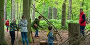 Family den building in a natural woodland