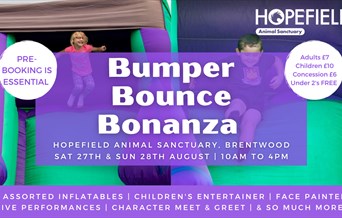 Bumper Bounce Bonanza