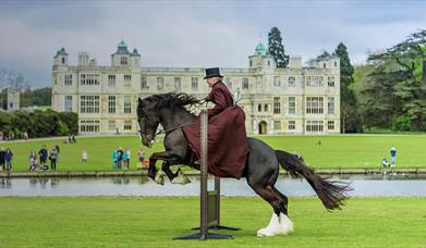 Victorian Horses of Audley End