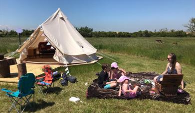 Camping and Glamping at Thamesview Camping the cleanest and  friendliest campsite in Essex 18
