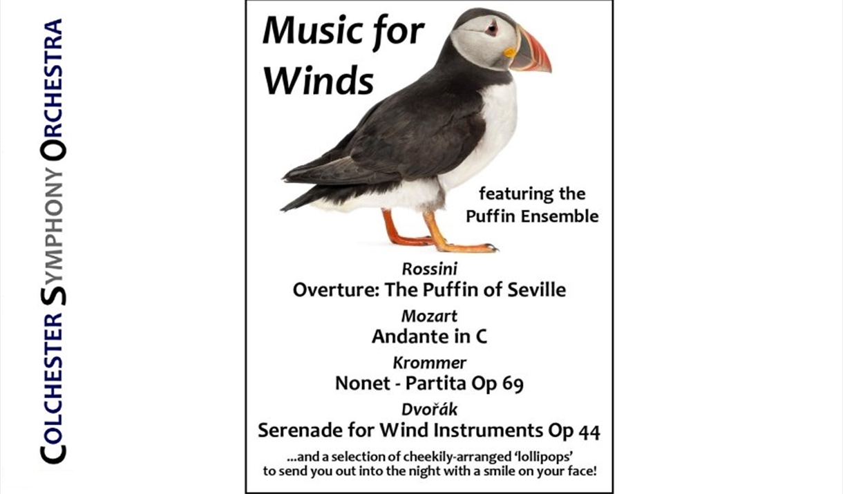 A flyer featuring teh event details and a picture of a puffin.