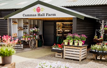 Entrance to Cammas Hall Farm