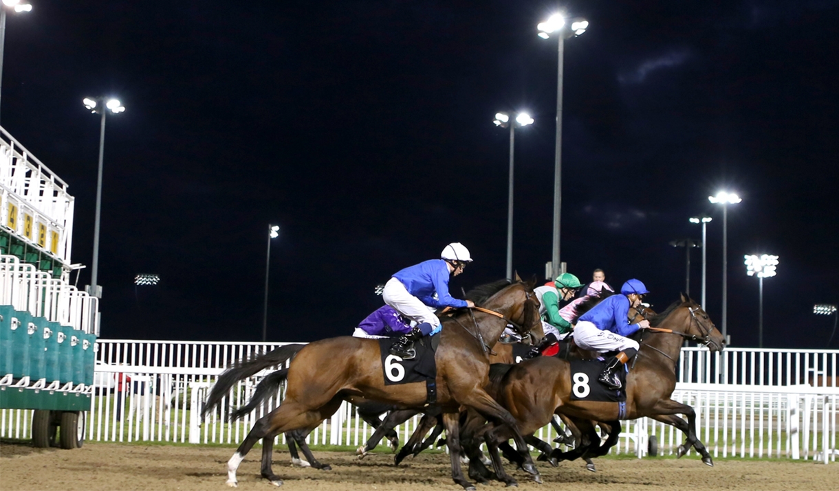 Chelmsford City Racecourse